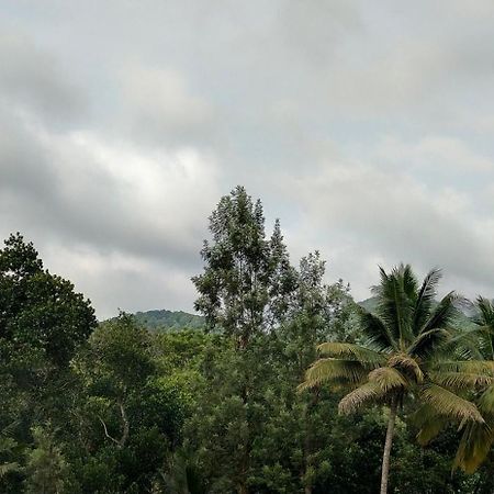 Floral Homestay Thekkady Buitenkant foto