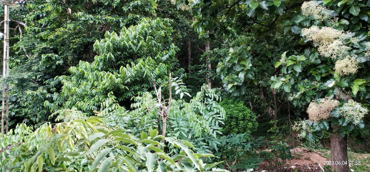 Floral Homestay Thekkady Buitenkant foto
