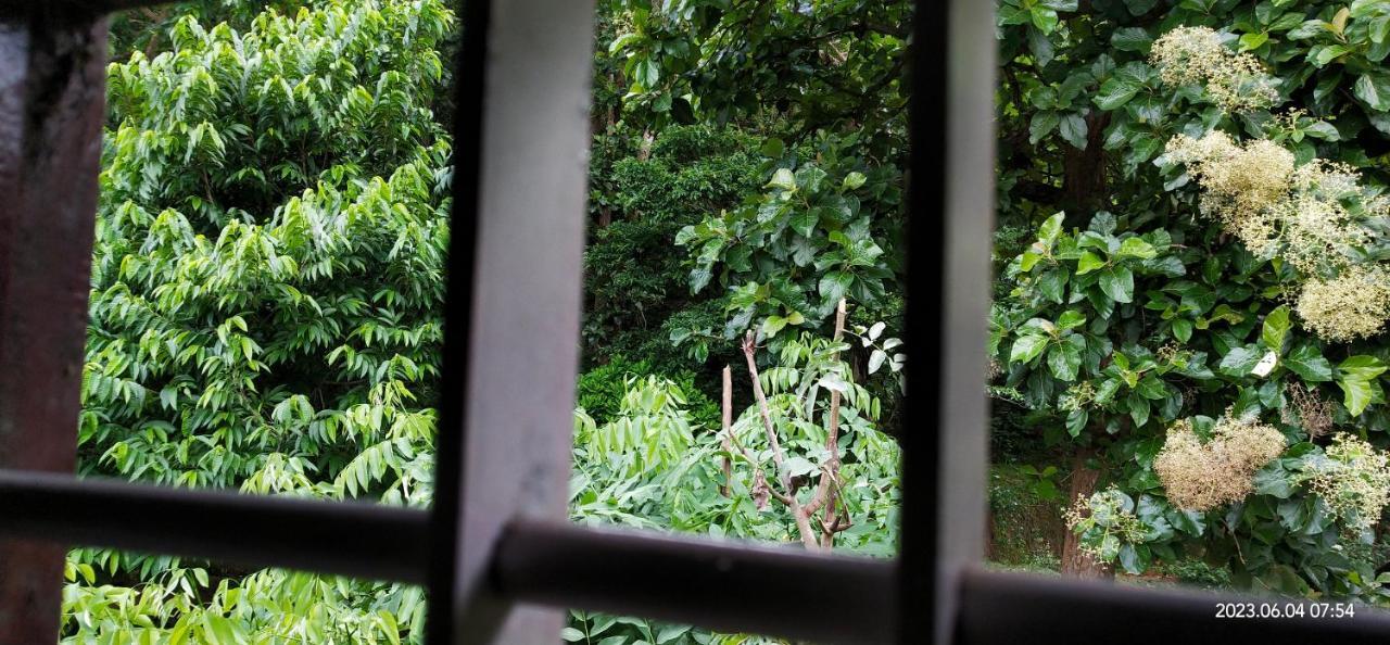 Floral Homestay Thekkady Buitenkant foto