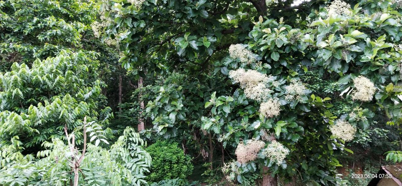 Floral Homestay Thekkady Buitenkant foto