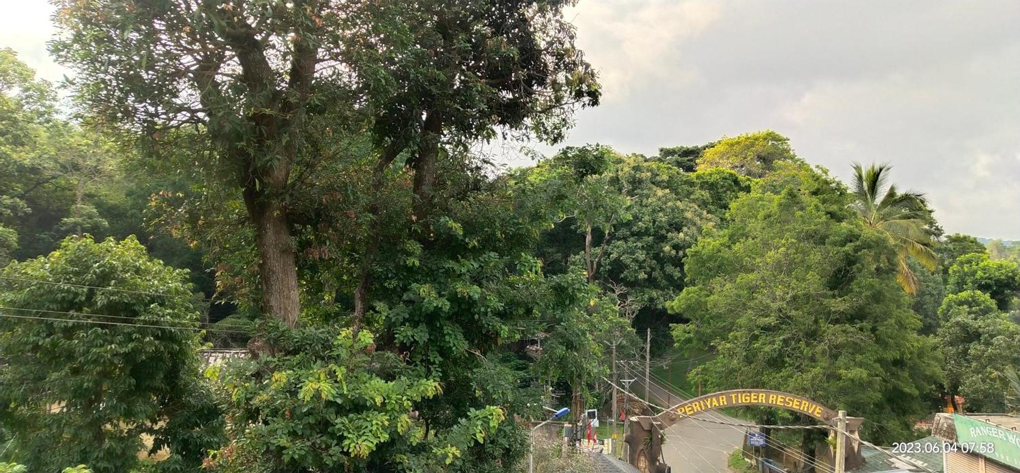 Floral Homestay Thekkady Buitenkant foto