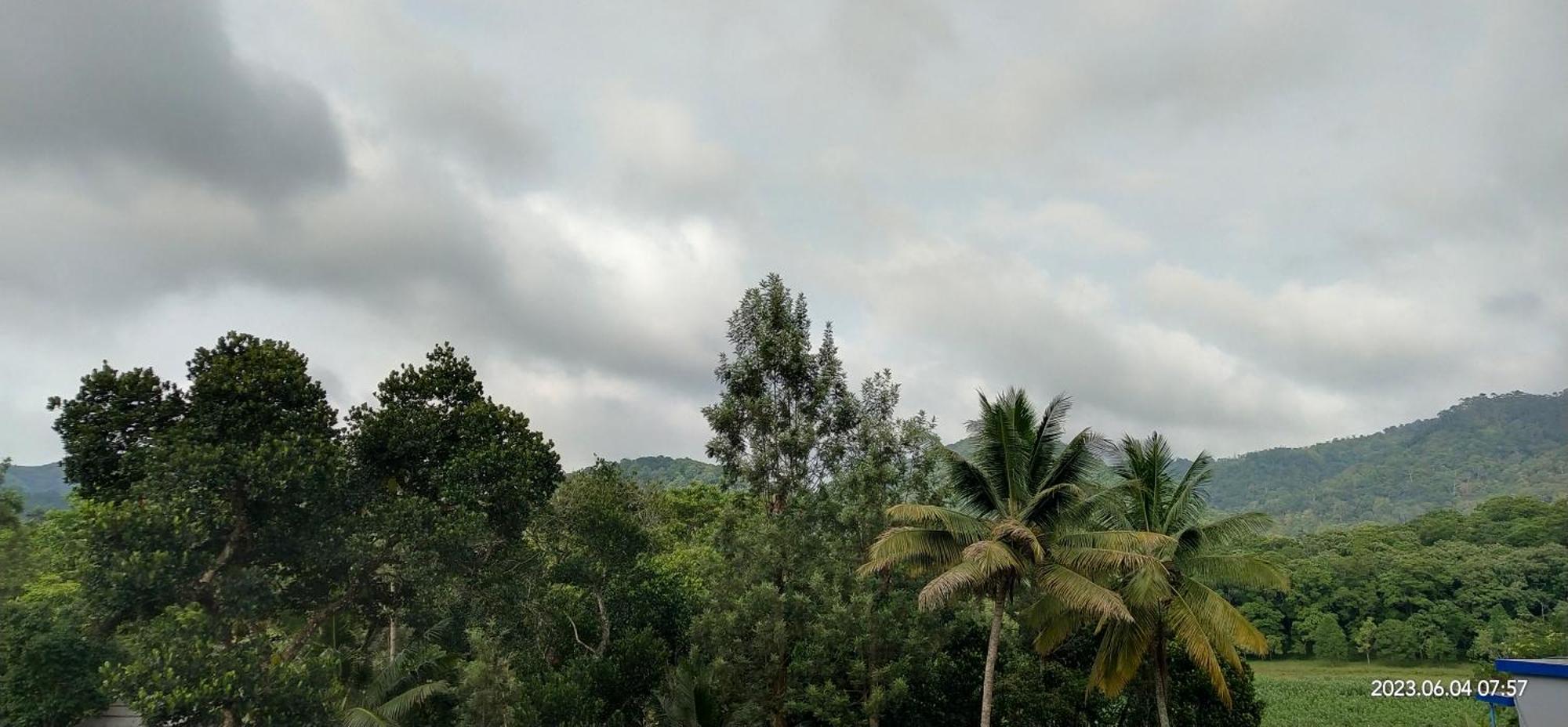 Floral Homestay Thekkady Buitenkant foto